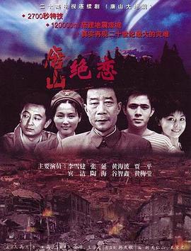 国产亚洲精品一区二三区海报