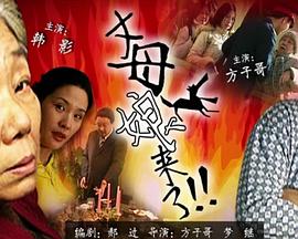 无码av孕妇专区海报