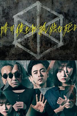 国产精品欧美激情在线播放海报