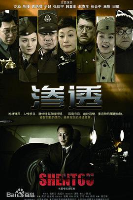 久久久久国产一级毛片清晰版海报